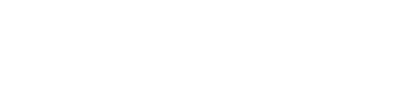 StratejikVeri